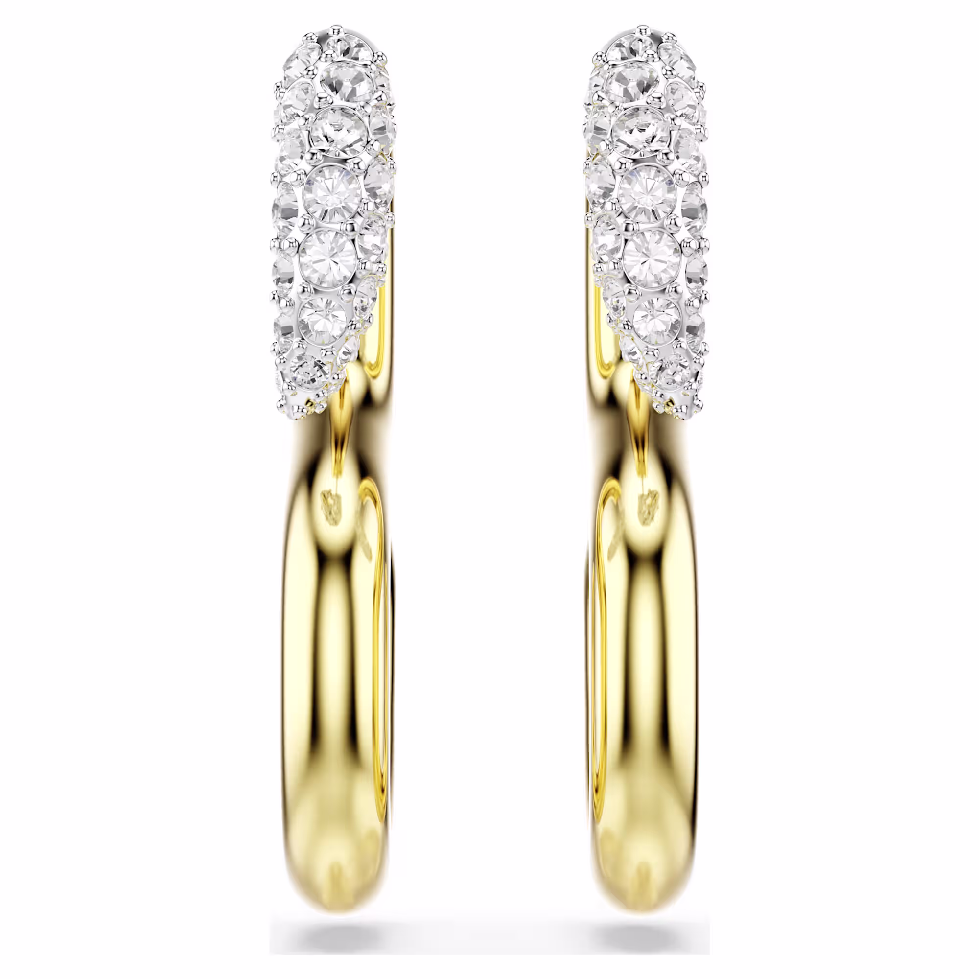Dextera earrings